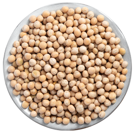 Chick Pea